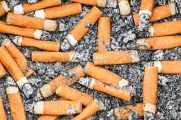 為什麼說：回收菸頭就是一個騙局？菸頭真的有利潤嗎？能掙錢嗎？