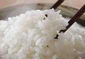 水稻什麼品種最好吃？