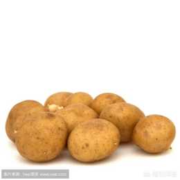 怎樣正確應用馬鈴薯脫毒種薯？