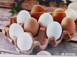 土雞蛋能生吃嗎？
