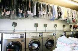 衣服乾洗過後的味道對人體有害嗎？