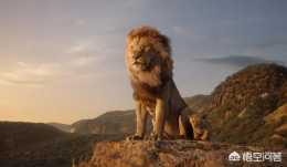 對於真人版《獅子王》，你有怎樣的期待？