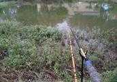 臺釣你的主打魚竿是幾米的？為什麼？