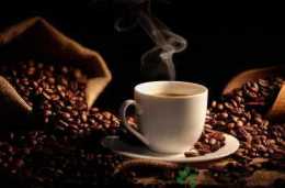 咖啡能提神的科學依據是什麼呢？它對任何人都能提神嗎？