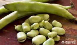 為什麼有些人不能吃蠶豆?是基因問題嗎?