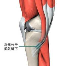 步引發的膝內側疼痛，你會處理麼？