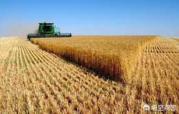 18年的小麥價格會上漲嗎？