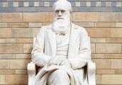 達爾文的進化論有什麼漏洞？為什麼有很多人願意相信進化論？