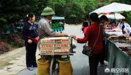 中國最忌諱的綠帽子，為何在越南如此受歡迎？