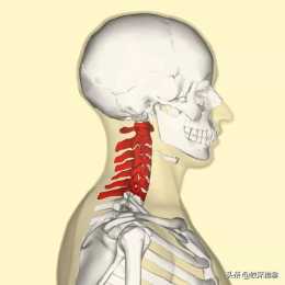 頸椎好痛怎麼辦?