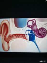 人工耳蝸和助聽器作用一樣嗎？