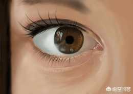 上眼瞼祛脂原理是什麼？