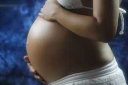 Science亮點 |母體發生炎症如何保護胎兒？