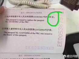 旅行社可以代辦護照嗎？如果可以需要提供哪些資料？