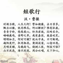 結合漢樂府創作風格，你覺得曹操的詩歌有什麼特點？