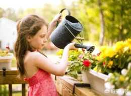 用冷開水澆花和自來水澆花哪個好？