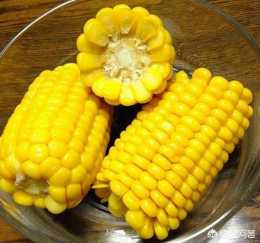 水果玉米怎麼種植？