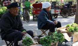 農村老人靠賣菜養老正常嗎？