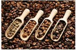 肯亞咖啡和衣索比亞咖啡的區別，如何衝煮果酸風味的非洲產區進口咖啡生豆
