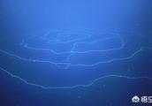 澳大利亞深海拍到47米長管狀水母，為啥會這麼長？深海中隱藏了多少人類未知的東西？