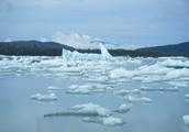 隨著全球變暖萬年冰川的融化，以後會不會頻繁爆發瘟疫？