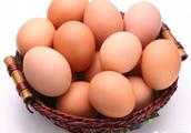 草雞蛋和紅雞蛋營養成分一樣嗎？為什麼價格會有差別？