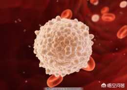 有些1歲半女寶寶體檢白細胞和淋巴細胞高是什麼原因？