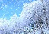 有哪些描寫雪景卻沒有帶雪字的詩詞？