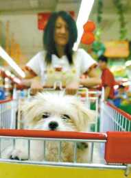 大家對領上大狗狗逛超市怎麼看?
