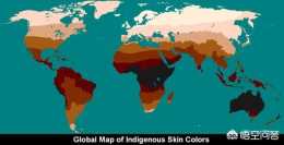 為什麼世界不同大洲的人，膚色會不同？