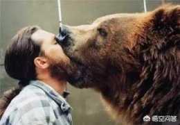 科迪亞克島棕熊是最大的熊嗎？比北極熊更大嗎？