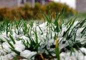 現在下雪對春播影響大嗎？