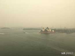 澳洲大火後，您還考慮去澳洲旅行麼？