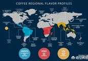 國產咖啡豆有何推薦？最好的、總喝進口的，想試試國貨,支援一下？